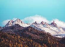 b体育官网-王楚钦、孙颖莎将出战WTT新加坡大满贯赛